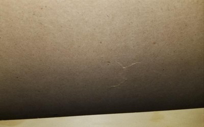 Guest review image 3 of 3, zoom in