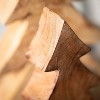 Sullivans 10" & 14.25" Mango Wood Medium Tree Accents Set of 2 - 2 of 4