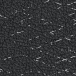 stone cold steve austin