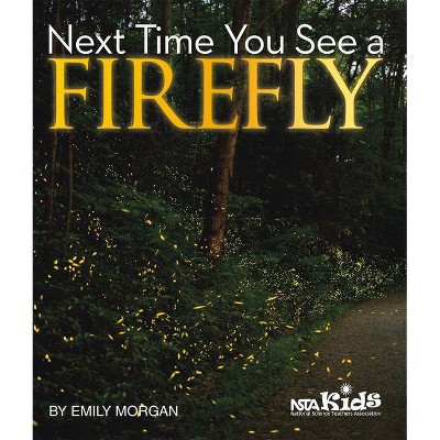 Next Time You See a Firefly - by  Emily Morgan (Paperback)