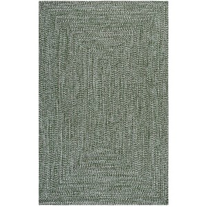 Braided BRA260 Hand Woven UV Resistant, Stain Resistant, Non-Shedding Machine Washable Indoor Rugs - Safavieh - 1 of 4