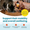 100% Natural Liquid Glucosamine Chondroitin W/ MSM for Cats, Hip & Joint Supplement for Senior Felines, Arthritis & Mobility Booster Glucosamine Drops - 3 of 4