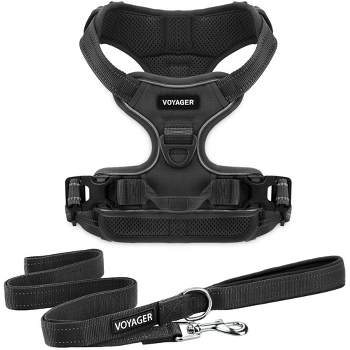 Voyager Dual-Attachment No-Pull Dog Harness with 6ft Leash Combo 