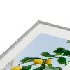 Bethany Young Photography Amalfi Coast Lemons 8"x10" Silver Metal Framed Art Print - Deny Designs - 3 of 4
