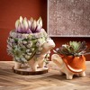 6"H Sullivans Draping Succulent Vase Collars Set of 2, Multicolored - 4 of 4