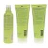 Aveda Be Curly Shampoo 8.5 oz, Be Curly Conditioner 6.7 oz, & Be Curly Curl Enhancer 6.7 oz Combo Pack - 3 of 4