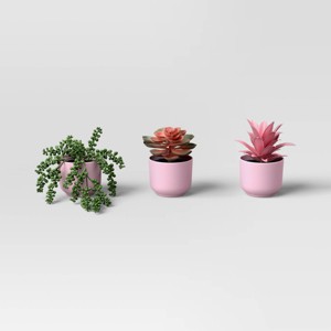 Succulent Multipack Plant Pink - Room Essentials™ - 1 of 4