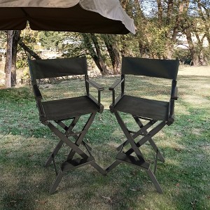 Casual Home Director's Chair, Black Frame/Black Canvas,Suitable for adults, foldable style, 2pcs/set populus - 1 of 4