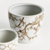 Plum & Post Brown & White Chinoiserie Province Flower Pots, Set of 3 - 4 of 4