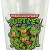 Teenage Mutant Ninja Turtles Leonardo Donatello Raphael Michelangelo 16oz Pint Drinking Glass Clear - 3 of 4