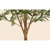4 FT Artificial Olive Tree Indoor, Tall Tree with Moss, Black Nursery Pot Artificial Silk Plant, Designed Faux Wood Trunk and Realistic Fruit - 4 of 4