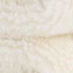 tusk ivory