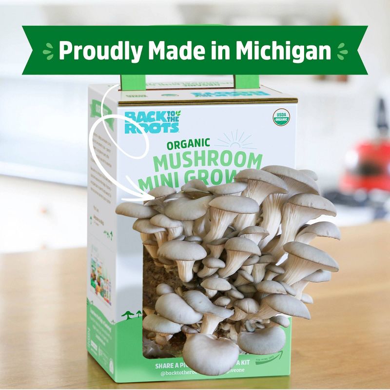 Back to the Roots Organic Mushroom Mini Grow Kit Pearl Oyster, 6 of 12