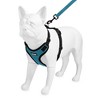 Voyager Step-In Lock Adjustable Dog & Cat Harness and 5ft Leash Combo - 4 of 4