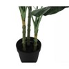 Vynxaria Artificial Plant, 42" Tall, Evergreen Tree, Indoor, Faux, Fake, Floor, Greenery, Potted, Decorative, Green Leaves, Black Pot - 2 of 4