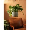 LiveTrends Lost City Ceramic Indoor Novelty Planter Metallic Pewter 6.5"x6.5"x22.5" - 2 of 3