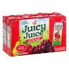 Juicy Juice Punch 100% Juice - 8pk/6.75 fl oz Boxes - image 2 of 4
