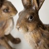 Sullivans 12" & 15.25" Rustic Resin Bunny Set of 2, Brown - 2 of 4