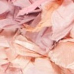 ivory/pink