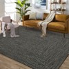 Machine Washable Modern Braided Print Area Rug 4x6 Living Room Rug Stain Resistant Indoor Carpet With Non-Slip Backing Low Pile Floor Cover - 3 of 4