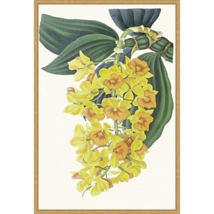 Amanti Art Paxton Tropicals VIII by Jennifer Paxton Parker Framed Canvas Wall Art - 1 of 4