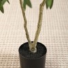 Kazeila 5FT Artificial Plastic Olive Tree in Pot, Pre Potted Faux Greenry Olive Tree for Home Decor - 3 of 4