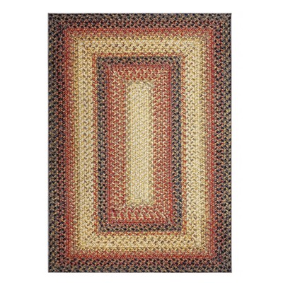 Washable Modern Braided Printed Rug Non Slip Low Pile Rug Soft Contemporary Throw Floor Cover Foldable Indoor Carpet for Living Room Bedroom