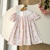 MyKids-Usa Summer Baby Kids Girls Short Sleeves Floral Teddy Print Embroidery Collar Princess Dress - 4 of 4