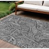 Gray Silver And Charcoal Paisley Washable Indoor Outdoor Area Rug - 2 of 4
