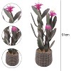 36 Inch Artificial Cactus, Tall Faux Potted Cacti Plant for Balcony, Living Room, Kitchen, Office & Patio Decor - 2 of 4