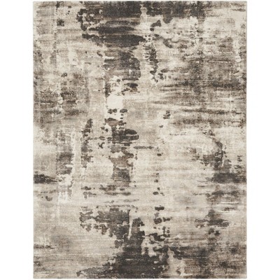 Nourison American Manor Contemporary Abstract Indoor Area Rug