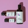 Plant Therapy Pure Essential Oil  - Organic Lavender / (1 oz) Lavender oil is ultra-versatile and loaded with benefits - 2 of 3