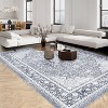 Acekool Indoor Area Rugs Collection - 3 of 4