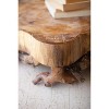 Mulberry Root Wood Home Decor Tray – 6.5" Tall by Kalalou - 3 of 4