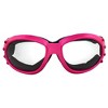 2 Pairs of Birdz Eyewear Eagle Safety Goggles - 2 of 4