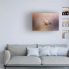 Trademark Fine Art -Jai Johnson 'Mourning Dove On A Winter Evening' Canvas Art - 2 of 4