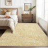 Coucheta Rug for Bedroom Machine Washable Area Rugs with Non Slip Backing Non Shedding Stain Resistant Minimalist Floor Cover Carpet Low Pile - 2 of 4