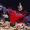 Unique Bargains Glowing Silicone Aquarium Tree Coral Fish Tank Decoration - 2 of 4