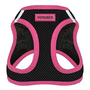 Voyager Step-In Dog Harness for Small and Medium Dogs - 1 of 3