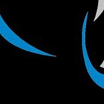 carolina panthers