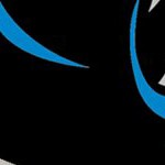 carolina panthers
