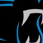 carolina panthers