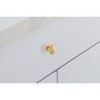 Elegant Lighting Logyn 1.3Inch Diameter Brushed Gold Mushroom Knob Multipack (Set of 10) - 3 of 4