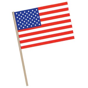 Beistle 4" x 6" Plastic American Flag; 36/Pack 50965 - 1 of 1
