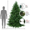 Northlight 6.5' Prelit Artificial Christmas Tree Full Hunter Fir - Clear Lights - 4 of 4