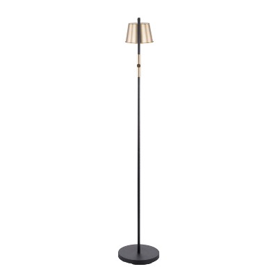 Contemporary Metric Adjustable Black Metal Floor Lamp