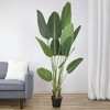 Northlight 70" Artificial Green Travellers Palm Tree - 2 of 4