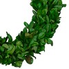 Northlight Preserved Leaf Spring Garden Wreath - 20" - Unlit - image 3 of 4