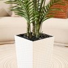 DR.Planzen UV Resistant 6-7FT Artificial Palm Tree with White Tall Planter, Big Pre Potted Fake Palm Plants for Indoor Outdoor Office House Decor - 4 of 4