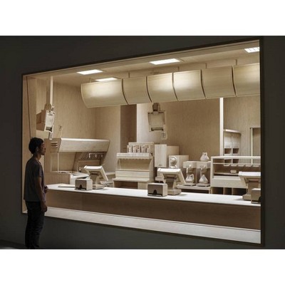 Roxy Paine: The Dioramas - by  Saul Anton (Hardcover)